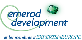 Emerod Development et les membres d'EXPERTSinEUROPE